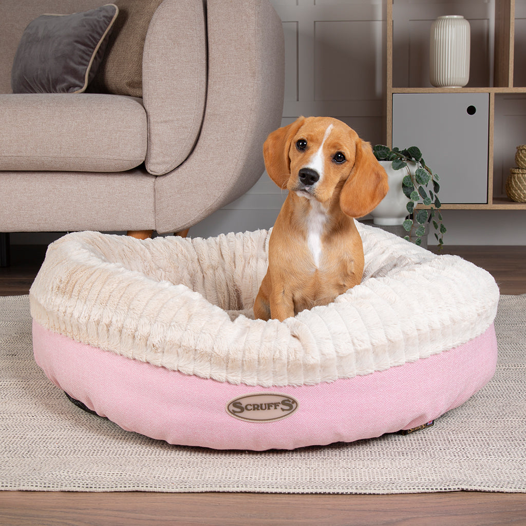 Ellen Donut Dog Bed (in Tan, Pink or Grey)