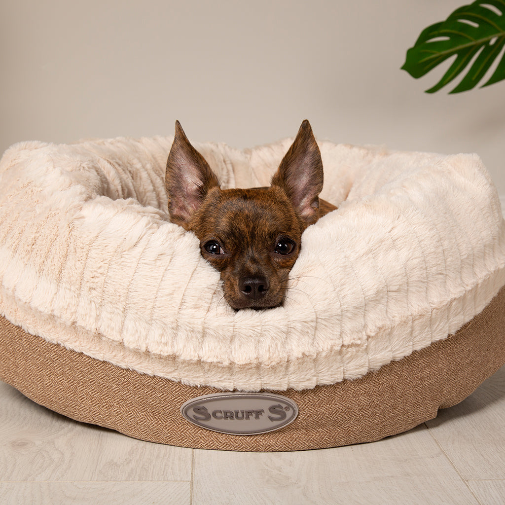 Ellen Donut Dog Bed (in Tan, Pink or Grey)
