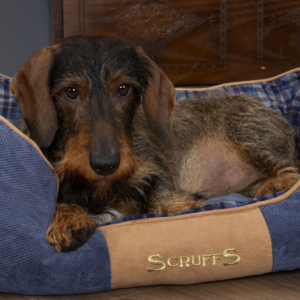 Highland Box Dog Bed (in Blue or Red)