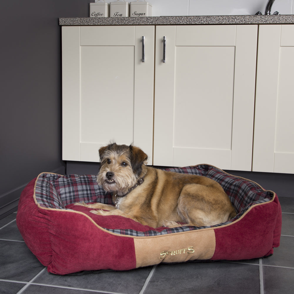 Highland Box Dog Bed (in Blue or Red)