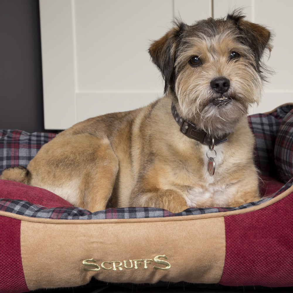 Highland Box Dog Bed (in Blue or Red)