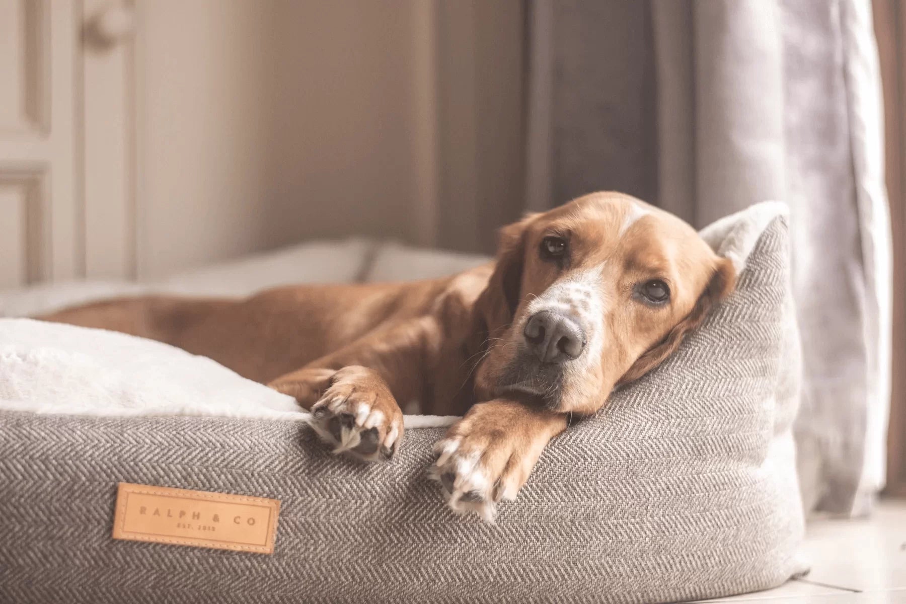 “Lincoln” Herringbone Nest Dog Bed