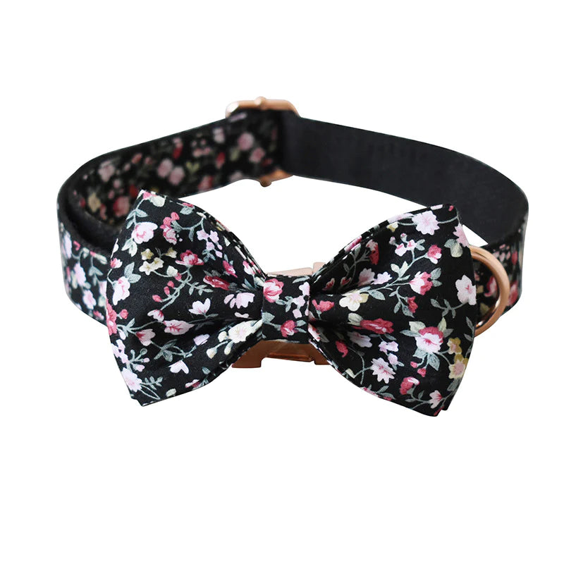 Charlie Dog Collar, Dog Collar & Dog Bowtie (Set)
