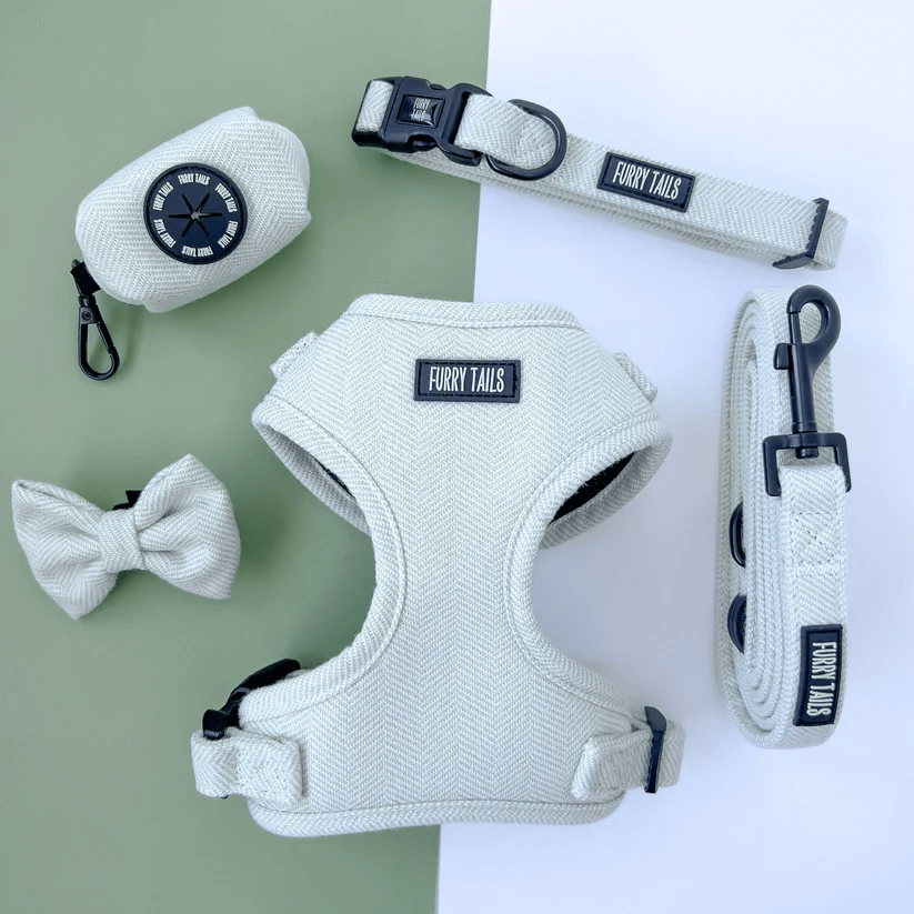 Dog Harness (Full Set) (Peppermint) – Dog Harness, Dog Collar, Dog Lead, Dog Poo Holder, Dog Bow Tie – by Furry Tails