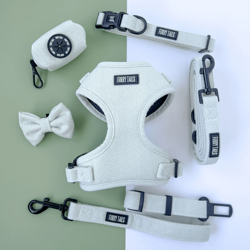 Dog Harness (Full Set) (Peppermint) – Dog Harness, Dog Collar, Dog Lead, Dog Poo Holder, Dog Bow Tie – by Furry Tails