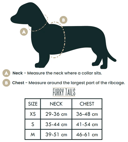 Dog Harness (Full Set) (Peppermint) – Dog Harness, Dog Collar, Dog Lead, Dog Poo Holder, Dog Bow Tie – by Furry Tails