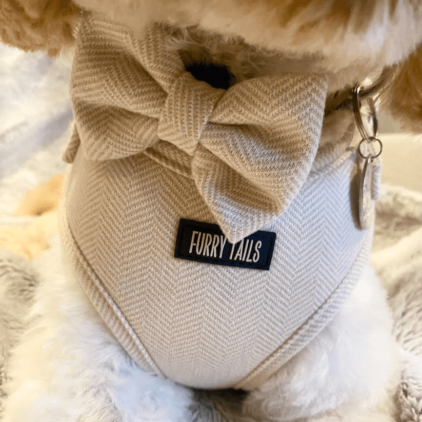 Dog Harness (Full Set) (Cashmere) – Dog Harness, Dog Collar, Dog Lead, Dog Poo Holder, Dog Bow Tie – by Furry Tails