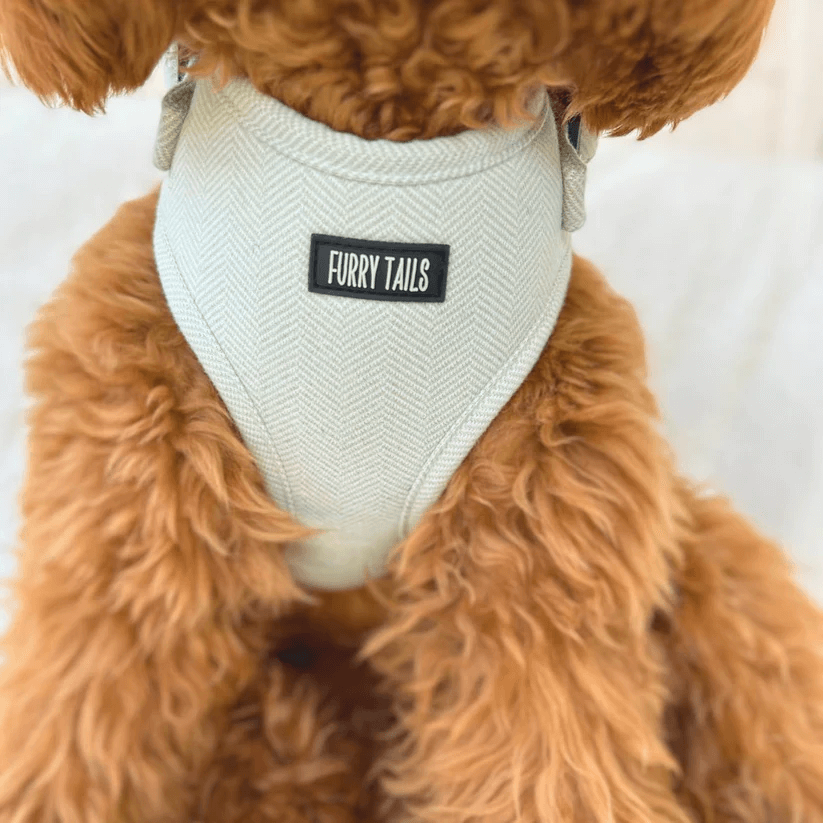 Dog Harness (Full Set) (Peppermint) – Dog Harness, Dog Collar, Dog Lead, Dog Poo Holder, Dog Bow Tie – by Furry Tails