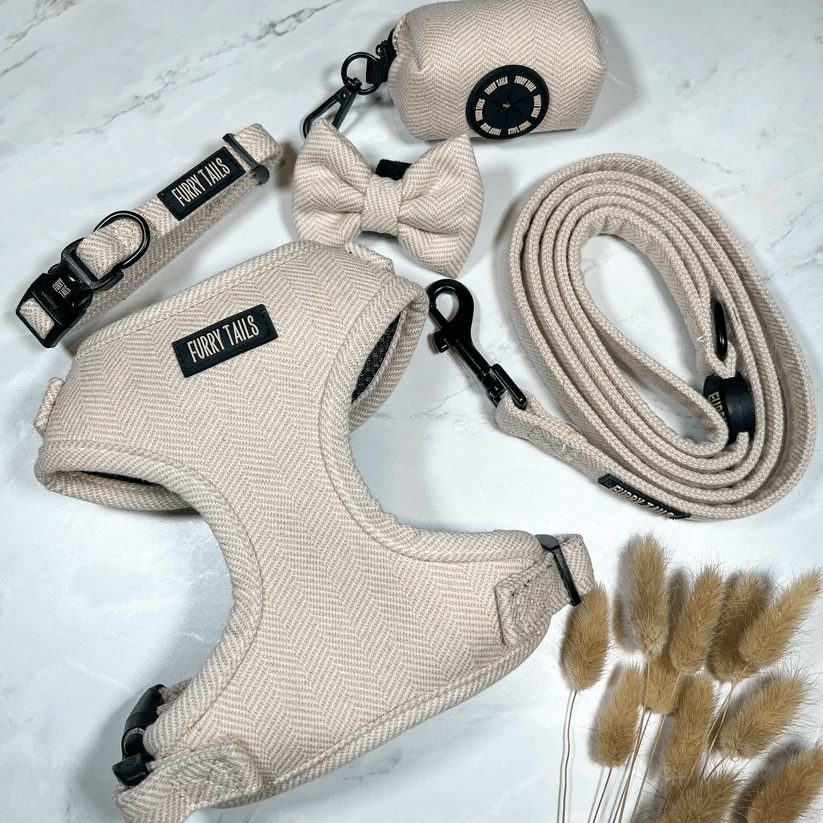 Dog Harness (Full Set) (Cashmere) – Dog Harness, Dog Collar, Dog Lead, Dog Poo Holder, Dog Bow Tie – by Furry Tails